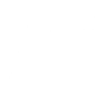 Туризм - Национальные проекты России